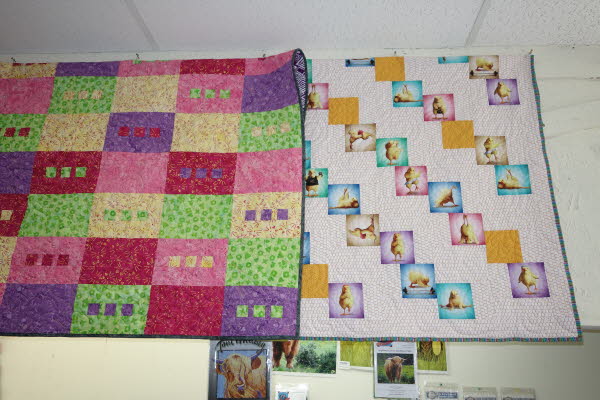 Dawn's Quilt Shop 4-29-26 (2)