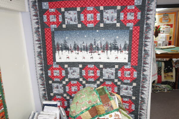 Dawn's Quilt Shop 4-29-26 (21)