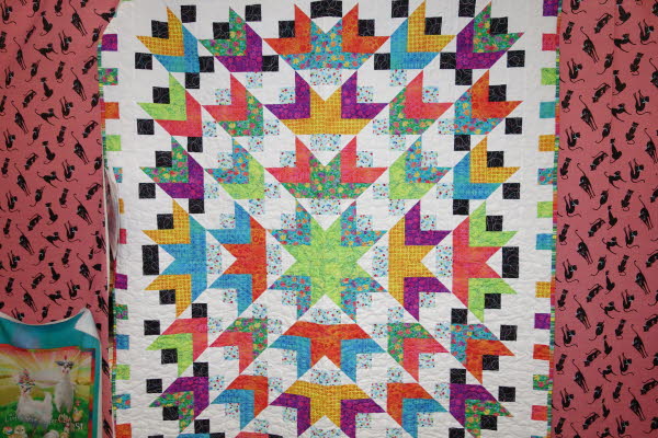 Dawn's Quilt Shop 9-23-25 (10)