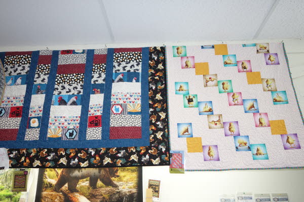 Dawn's Quilt Shop 9-23-25 (2)