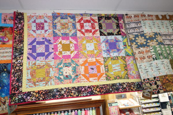 Dawn's Quilt Shop 9-23-25 (44)